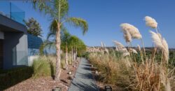 Paphos Kissonerga 7Bdr Villa For Sale VLSPG-KIS7BVSLV
