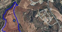 Paphos Kouklia  Land For Sale VLSOKTCSLV