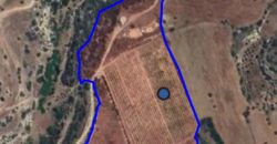 Paphos Kouklia  Land For Sale VLSOKTCSLV