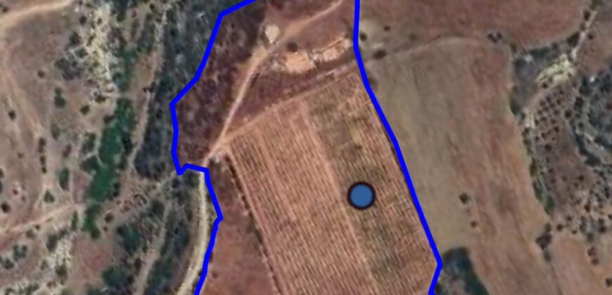 Paphos Kouklia  Land For Sale VLSOKTCSLV
