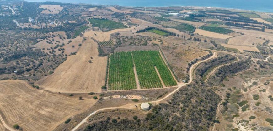 Paphos Kouklia  Land For Sale VLSOKTCSLV