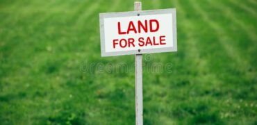 Paphos Mandria  Land For Sale VLSPFG209SLV