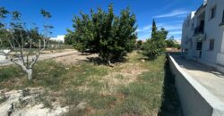 Paphos Mesogi 2Bdr Ground Floor Apartment For Rent DTC5321