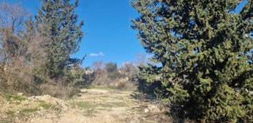 Paphos Tsada  Land For Sale VLSISLTSLV