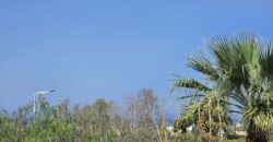 Paphos Peyeia Sea Caves 3 Bdr Villa For Sale DTC5364