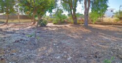 Paphos Agios Georgios 4Bdr Detached Villa For Sale SKR18465