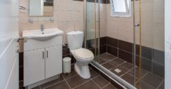 Paphos Argaka 2Bdr House For Sale AMR45038