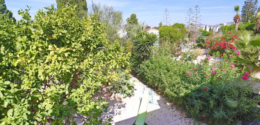 Paphos Chlorakas 3Bdr Detached Villa For Sale SKR18183G