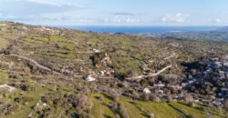 Paphos Kritou Terra 7Bdr Villa For Sale VLSKTSESLVINV