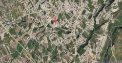 Paphos Pegeia 1Bdr Flat For Sale AMR45992