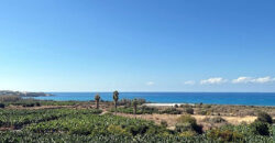 Paphos Pegeia 7Bdr Villa For Sale UQH4826