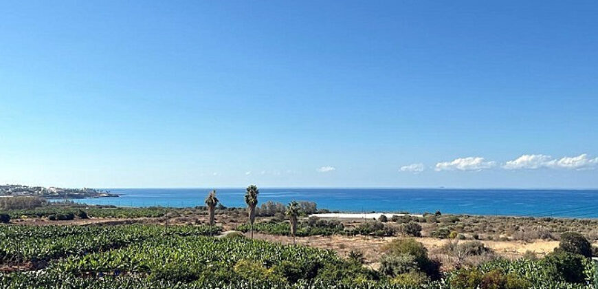 Paphos Pegeia 7Bdr Villa For Sale UQH4826