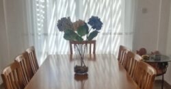 Paphos Pomos 3Bdr Villa For Sale VLSNJJORUVSLV