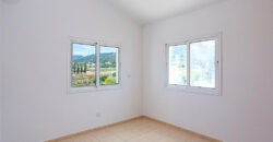 Paphos Argaka 3Bdr House For Sale NGM14908