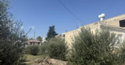 Paphos Choletria 3Bdr Villa For Sale VLSPGCHUHSLV