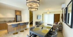 Paphos Emba 3Bdr Detached Villa For Rent DTC5472