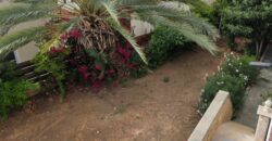 Paphos Peyia 4Bdr Detached Villa For Rent DTC5613