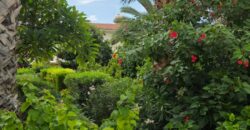 Paphos Peyia 4Bdr Detached Villa For Rent DTC5613