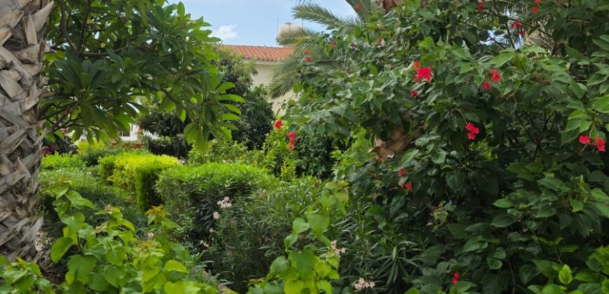 Paphos Peyia 4Bdr Detached Villa For Rent DTC5613