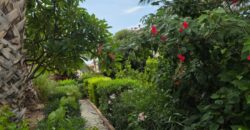 Paphos Peyia 4Bdr Detached Villa For Rent DTC5613