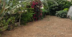 Paphos Peyia 4Bdr Detached Villa For Rent DTC5613