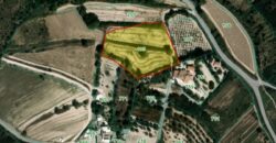 Paphos Tsada  Residential Land For Sale DTC5632